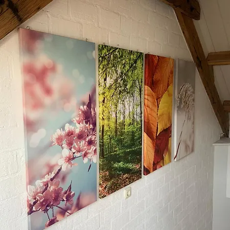 فندق مبيت وإفطار De Vier Jaargetijden 4*